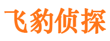 会东寻人公司